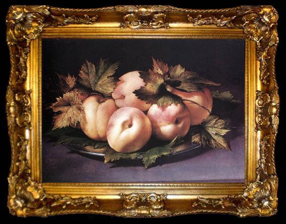 framed  FIGINO, Giovanni Ambrogio Still-life with Peaches and Fig-leaves fdg, ta009-2